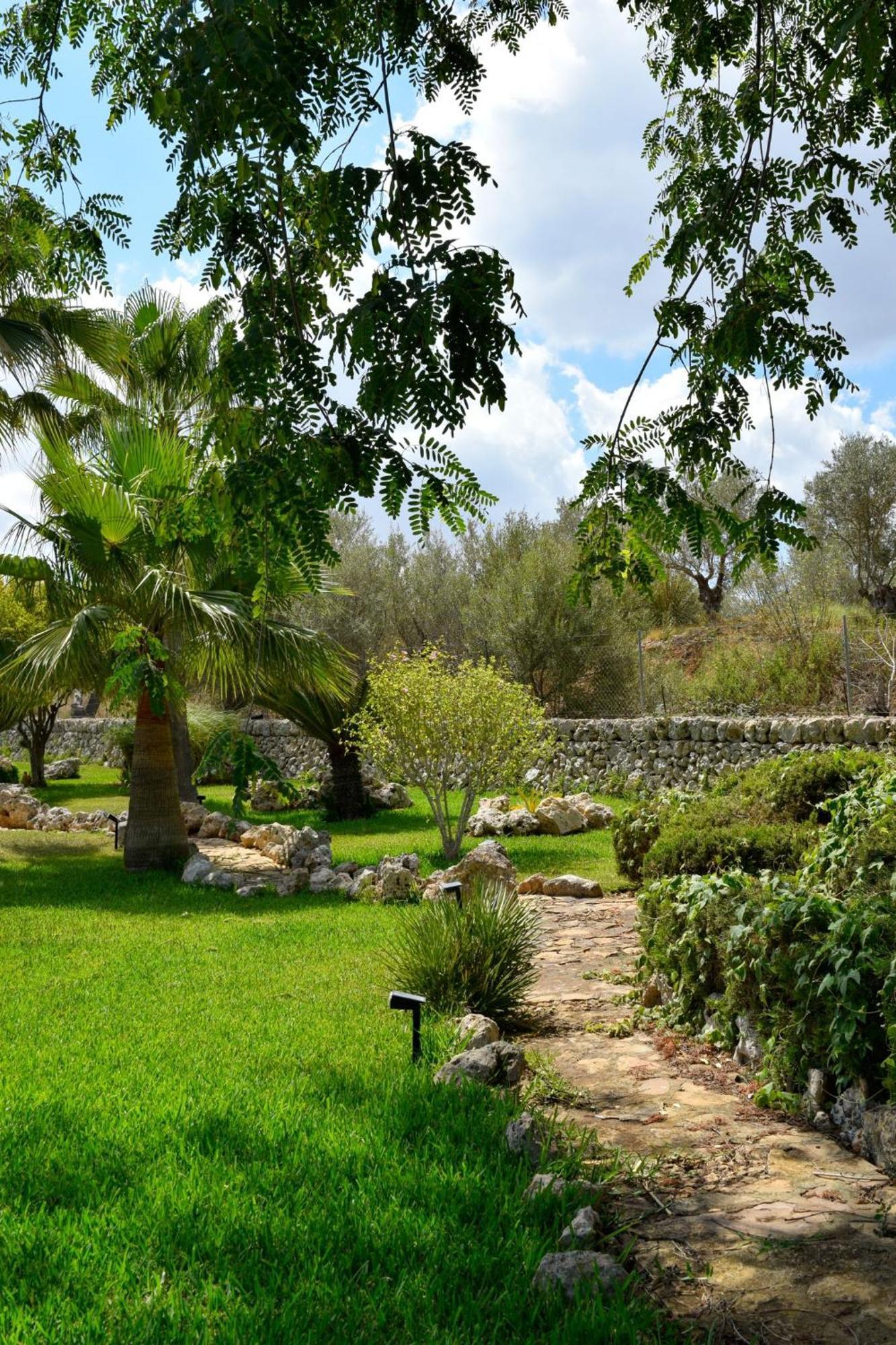 Farm stay Ses Illes *
